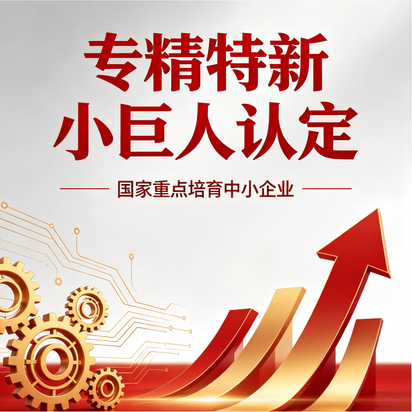 专精特新小巨人认定/复核